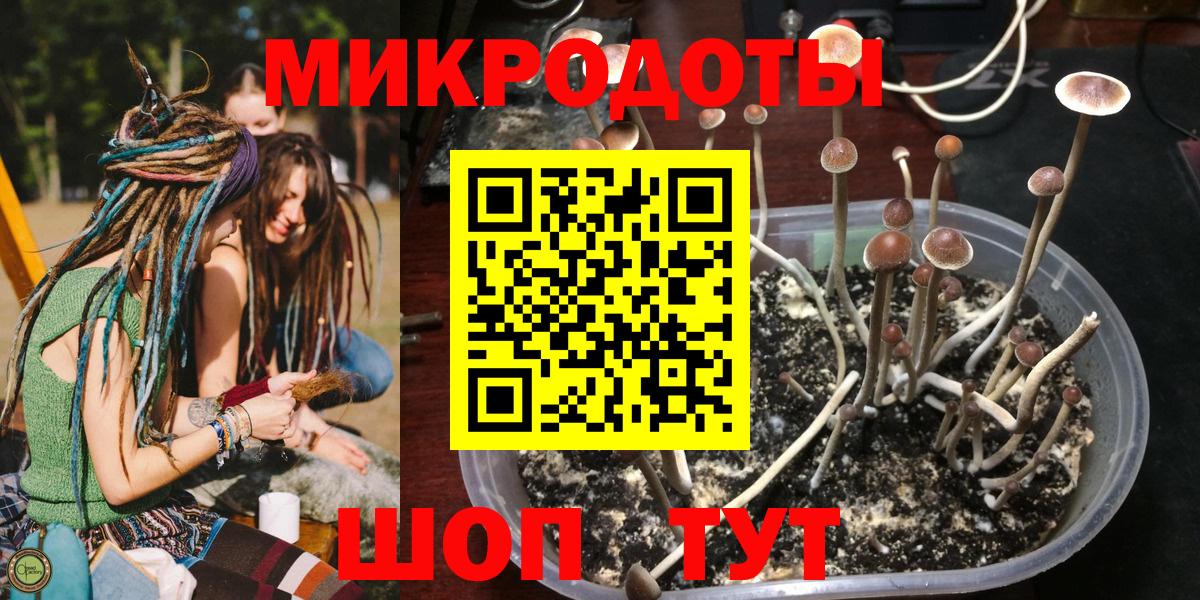 Галлюциногенные грибы мухоморы  Псилоцибиновые грибы GOLDEN TEACHER  Вход с VPN  Ухта 