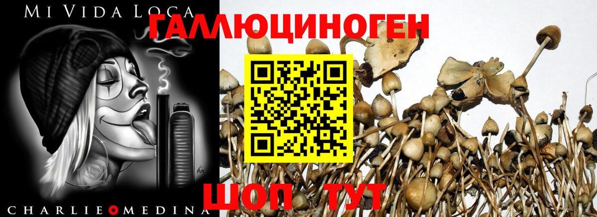 Галлюциногенные грибы Magic Shrooms Ухта